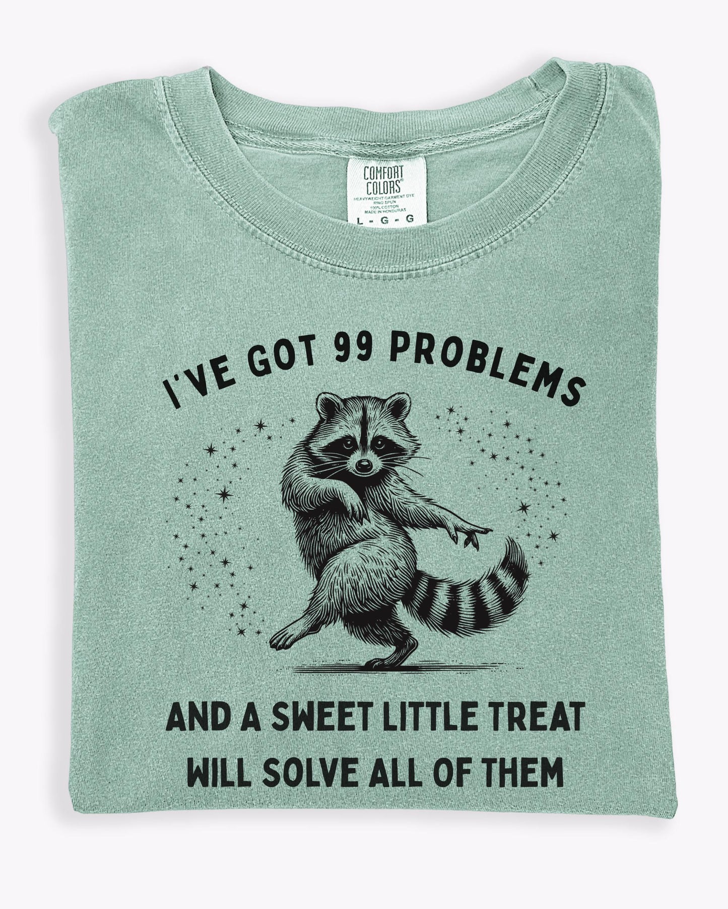 Funny Raccoon Graphic Tee | 99 Problems, Snack Lover Shirt
